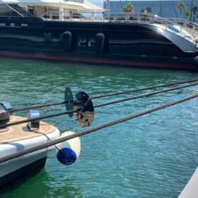 Rattenschutz an leinen