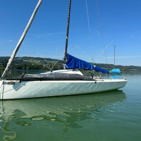 Seagull Protection Made Easy - SWI-TEC Shields Your Boat: No more worries about bird mess! Our effortless installation solution keeps your boat perfectly shielded from contamination.